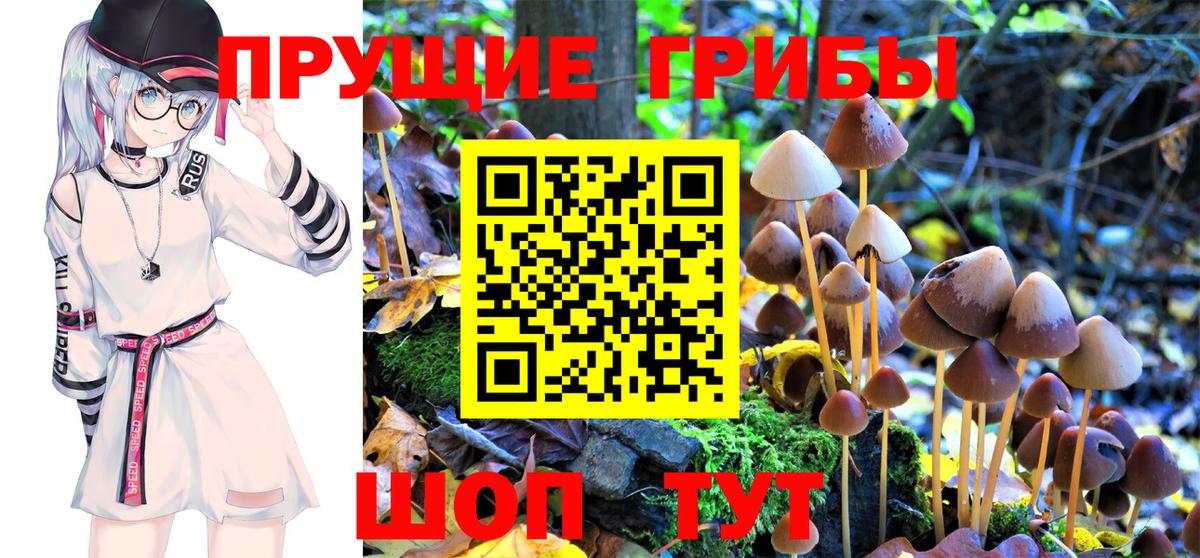 Галлюциногенные грибы GOLDEN TEACHER  Ефремов  Псилоцибиновые грибы Magic Shrooms 