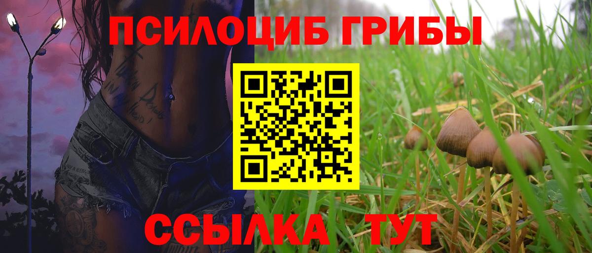 Галлюциногенные грибы Cubensis Ефремов
