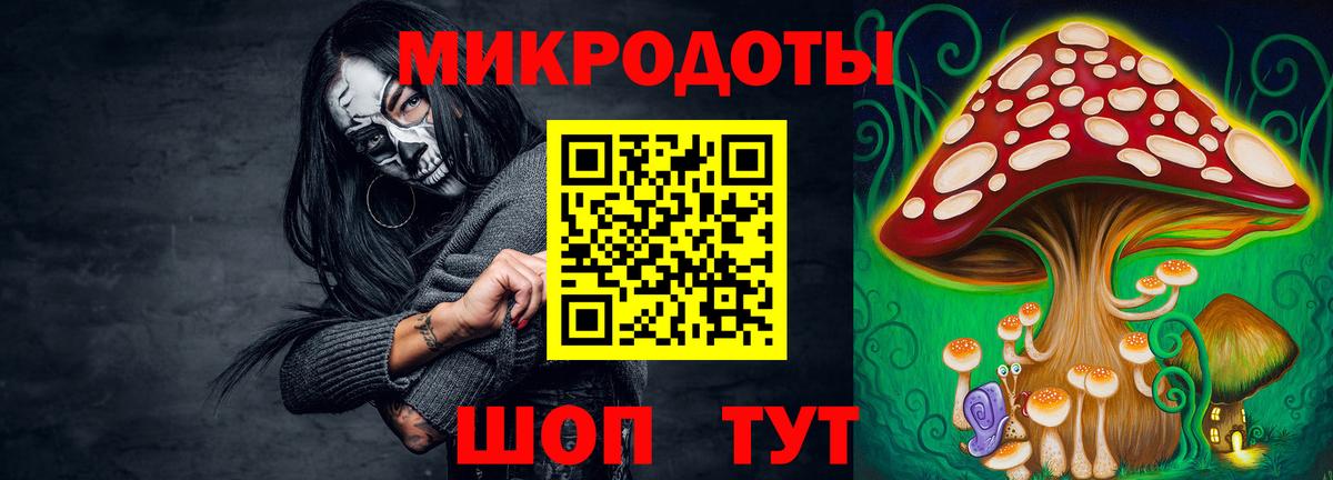 Ефремов  Галлюциногенные грибы Psilocybe  Вход с VPN  Галлюциногенные грибы Psilocybe 